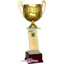 Puchar z dużą tabliczką - Nagroda - Podziękowanie - Wyróżnienie 3074